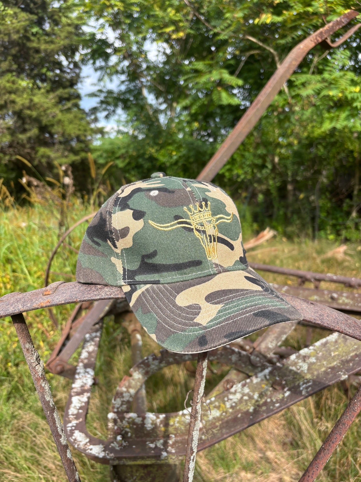 HnR Logo Camo Baseball Hat