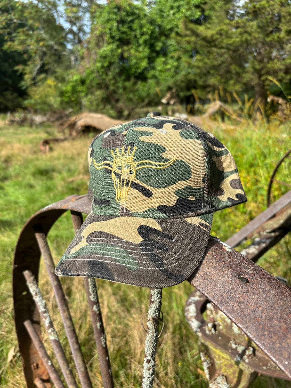 HnR Logo Camo Baseball Hat